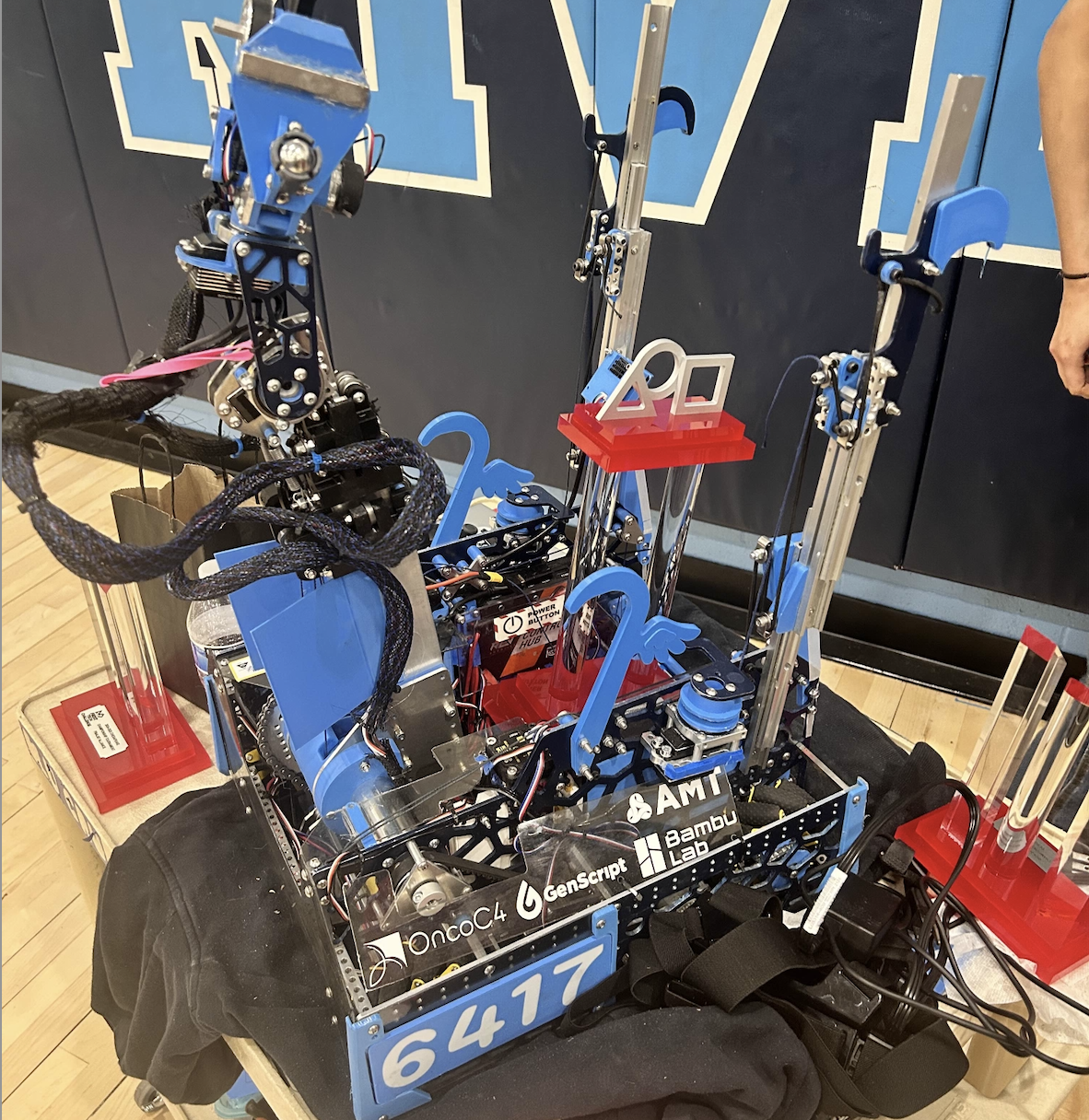 Wartortle | 2024-2025